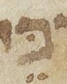 Vowel/Diacritic - #26842