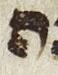 Letter - #26916