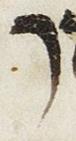 Letter - #27011