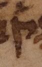Letter - Qoph
