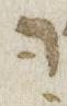 Vowel/Diacritic - #27122