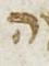 Letter - #27232