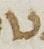 Letter - #27239