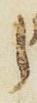 Letter - #27350