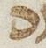 Letter - #27364