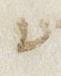 Letter - #27365