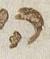Letter - #27369