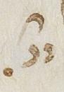 Divine Symbol - #27374