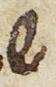 Letter - #27428