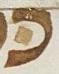 Letter - #27615