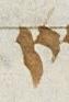 Letter - #27625