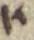 Letter - #2770