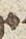 Letter - #27937