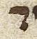 Letter - #27938