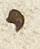 Letter - #27942