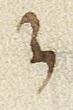 Letter - #27944