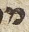 Letter - #27957