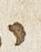 Letter - #27986