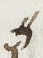 Editorial Symbol - #28016