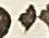 Letter - #28020