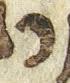 Letter - #28050