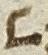 Letter - #28074