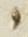 Letter - #28086