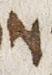 Letter - #28157