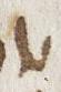 Letter - #28173