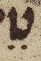 Vowel/Diacritic - #28235