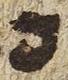 Letter - #28277