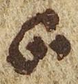Divine Symbol - #28279