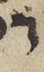 Vowel/Diacritic - #28342