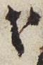 Letter - #28393