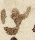 Letter - #28407