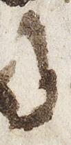 Letter - #28418