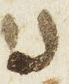 Letter - #28424