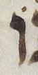 Vowel/Diacritic - #28433