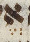 Vowel/Diacritic - #28437