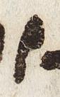 Letter - #28463