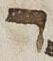 Letter - #28554