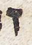 Letter - #28609