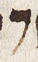 Letter - #28645