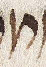 Letter - #28647