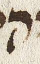 Letter - #28657