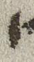 Letter - #28769