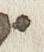 Letter - #28811