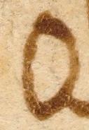 Letter - #28817