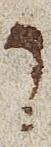 Vowel/Diacritic - #28826
