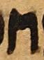 Letter - #28891
